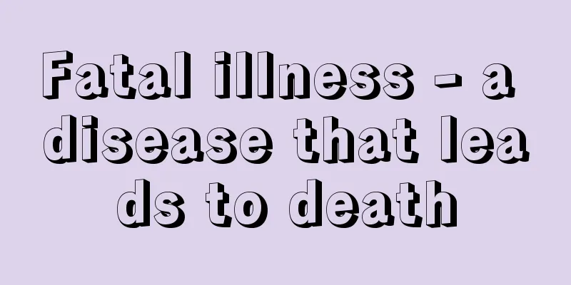 Fatal illness - a disease that leads to death