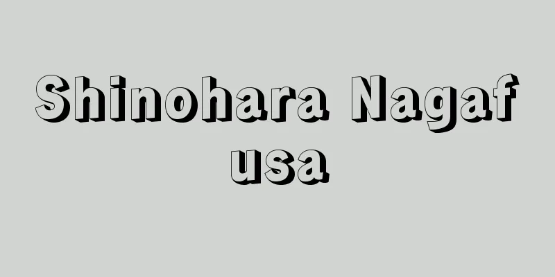 Shinohara Nagafusa