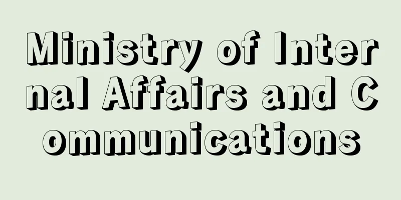 Ministry of Internal Affairs and Communications