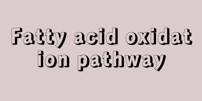 Fatty acid oxidation pathway