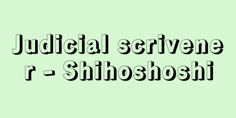 Judicial scrivener - Shihoshoshi