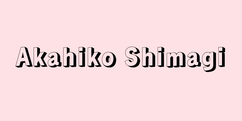 Akahiko Shimagi