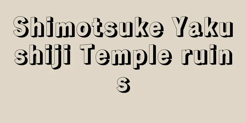 Shimotsuke Yakushiji Temple ruins