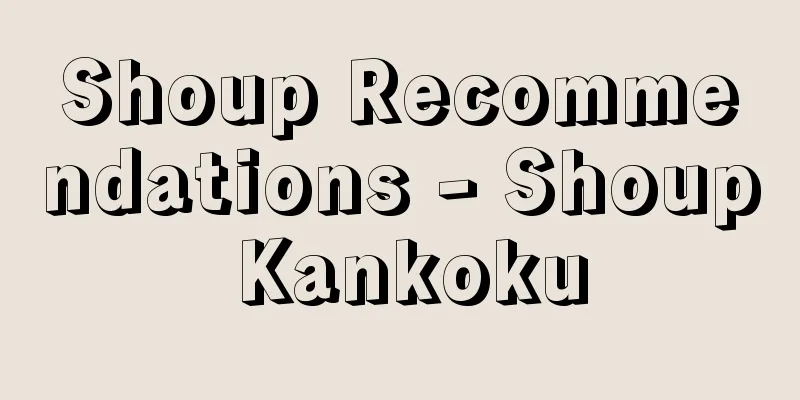 Shoup Recommendations - Shoup Kankoku