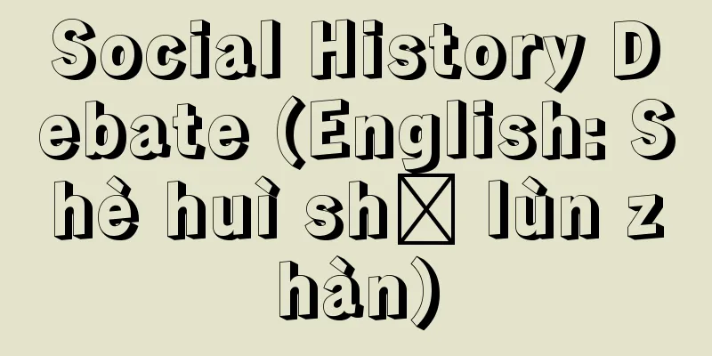 Social History Debate (English: Shè huì shǐ lùn zhàn)