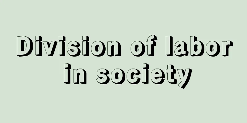 Division of labor in society