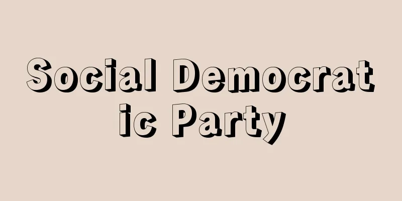 Social Democratic Party