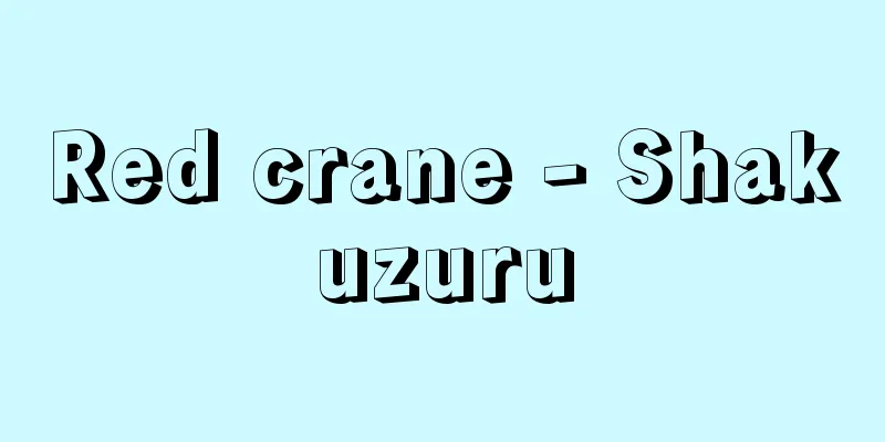 Red crane - Shakuzuru
