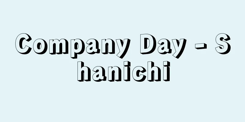Company Day - Shanichi