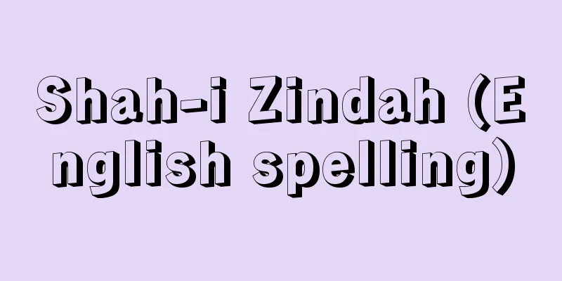 Shah-i Zindah (English spelling)