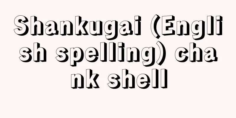 Shankugai (English spelling) chank shell