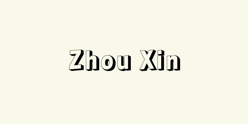 Zhou Xin