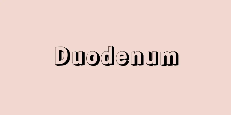 Duodenum