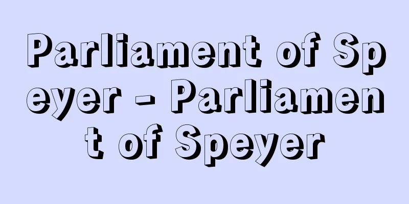 Parliament of Speyer - Parliament of Speyer