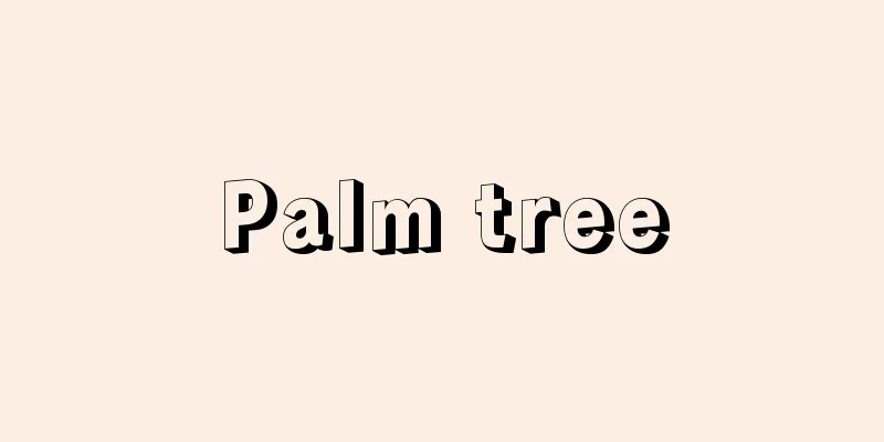 Palm tree