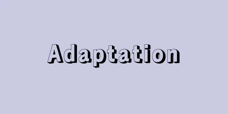 Adaptation