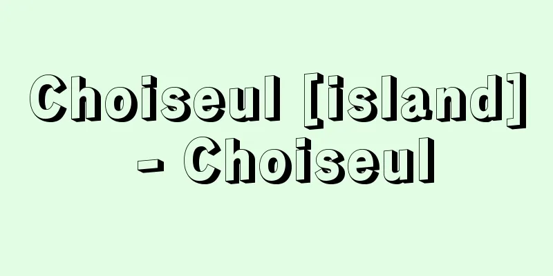 Choiseul [island] - Choiseul