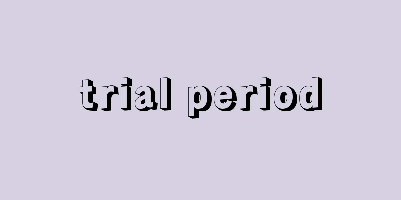 trial period