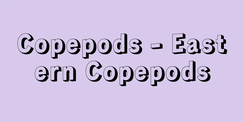 Copepods - Eastern Copepods