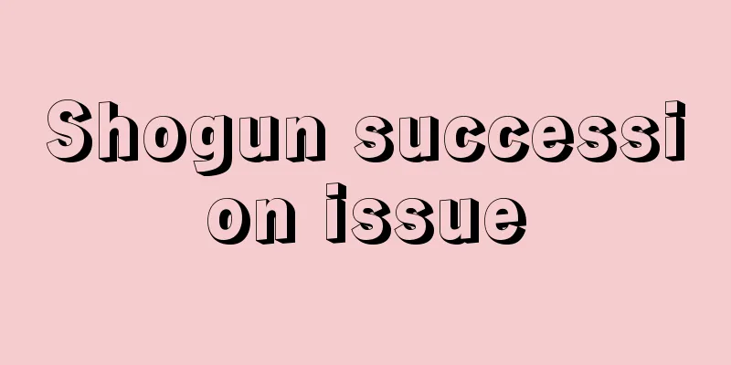 Shogun succession issue