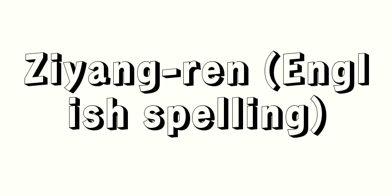 Ziyang-ren (English spelling)