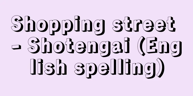 Shopping street - Shotengai (English spelling)