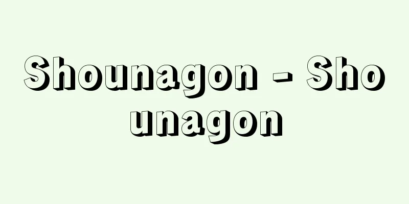 Shounagon - Shounagon
