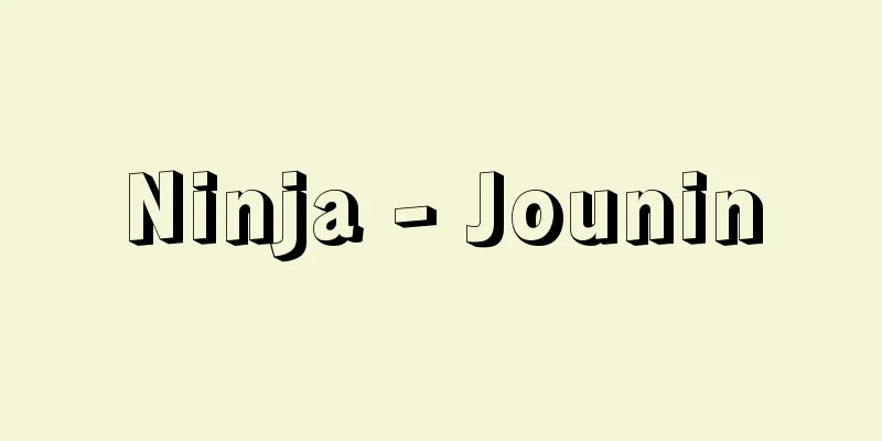 Ninja - Jounin