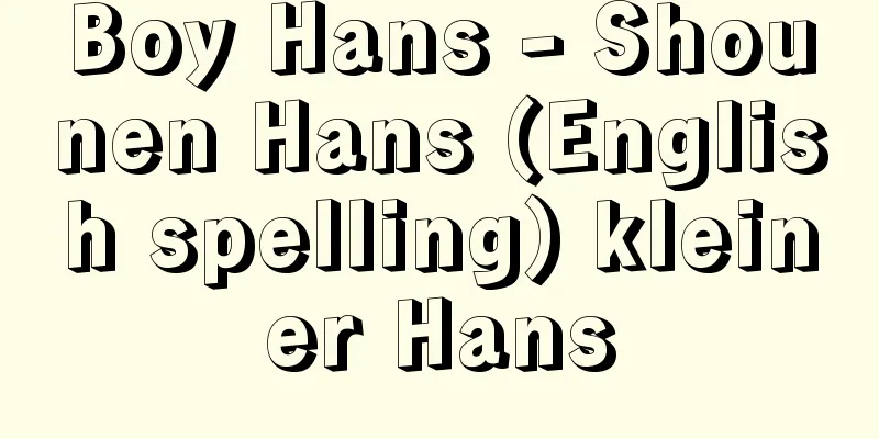 Boy Hans - Shounen Hans (English spelling) kleiner Hans