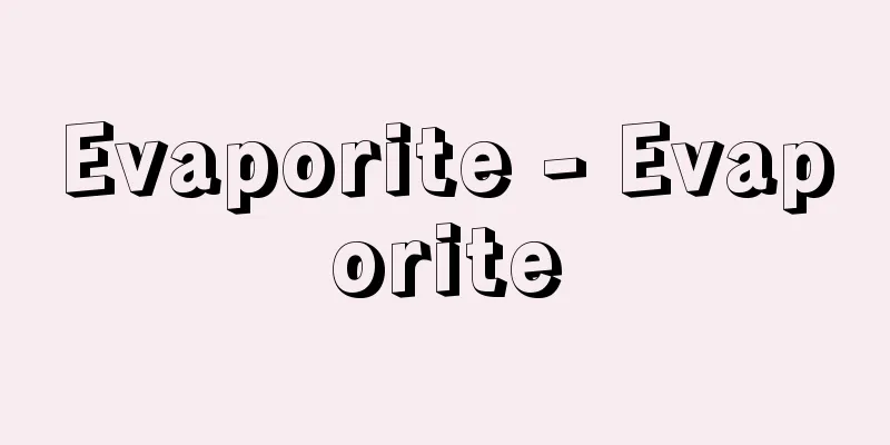 Evaporite - Evaporite