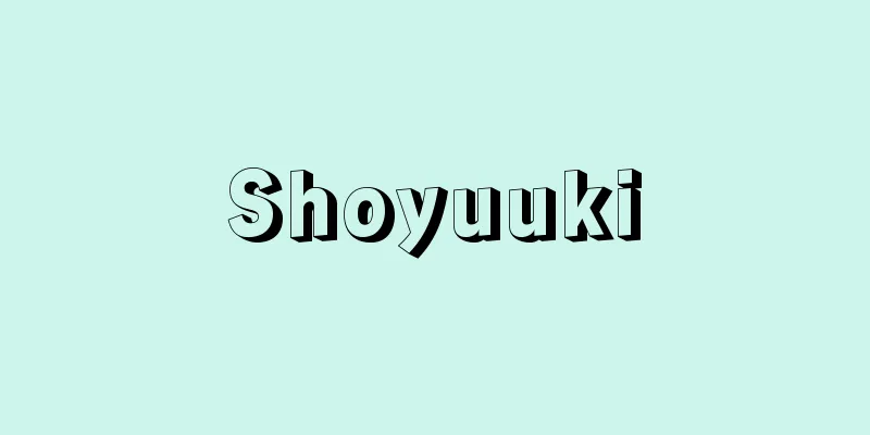 Shoyuuki