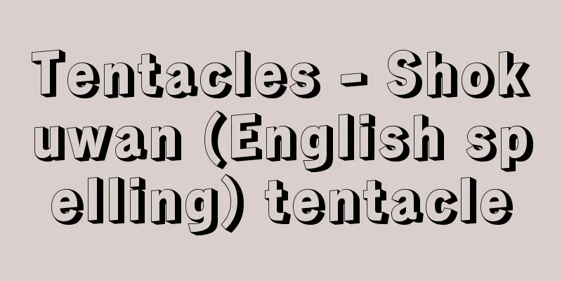 Tentacles - Shokuwan (English spelling) tentacle