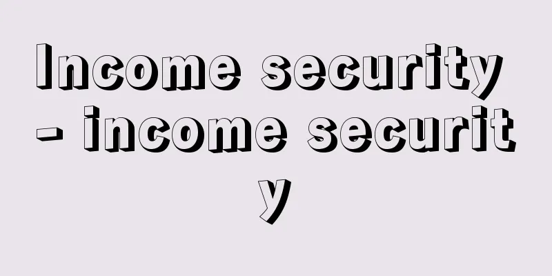Income security - income security
