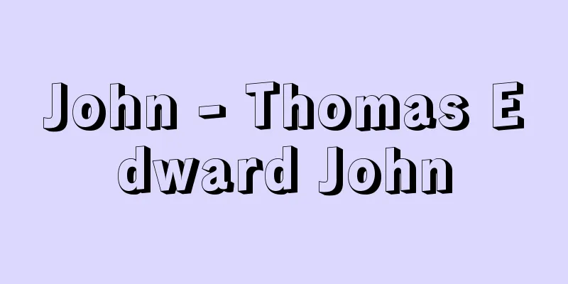 John - Thomas Edward John