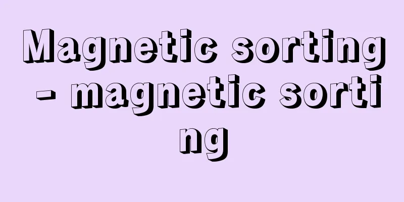 Magnetic sorting - magnetic sorting