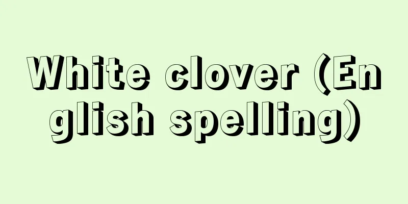 White clover (English spelling)