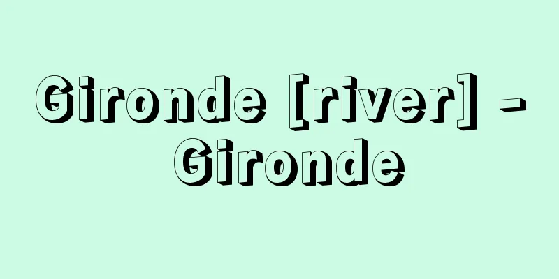 Gironde [river] - Gironde