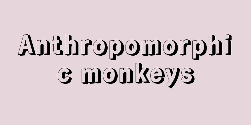 Anthropomorphic monkeys