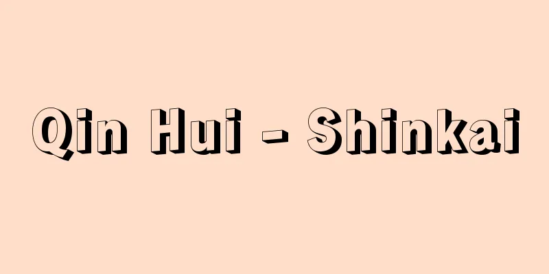 Qin Hui - Shinkai