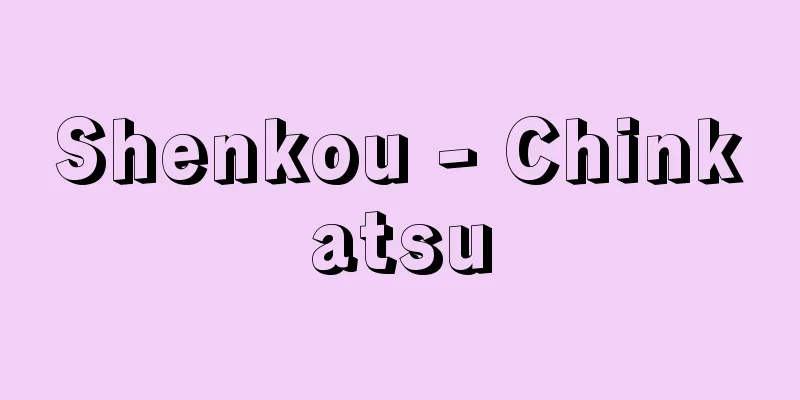 Shenkou - Chinkatsu