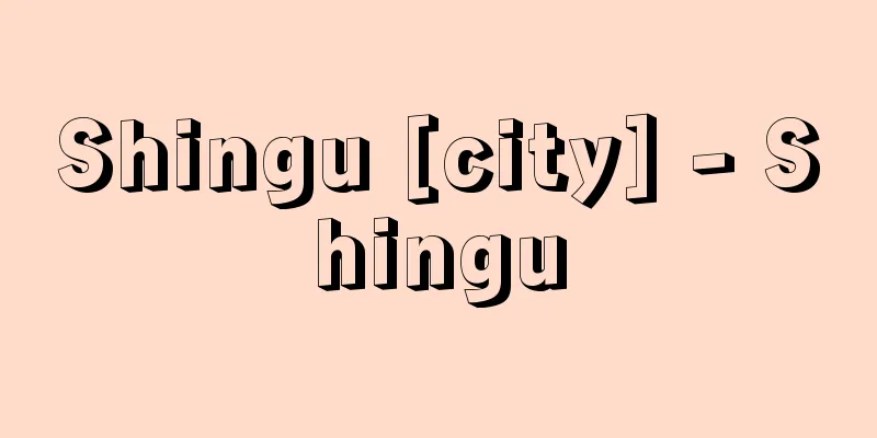 Shingu [city] - Shingu