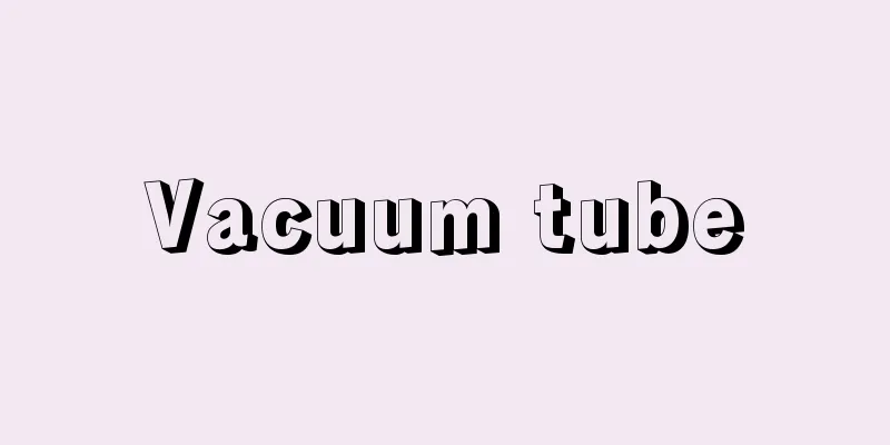 Vacuum tube