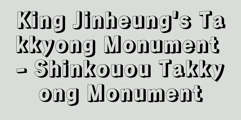 King Jinheung's Takkyong Monument - Shinkouou Takkyong Monument