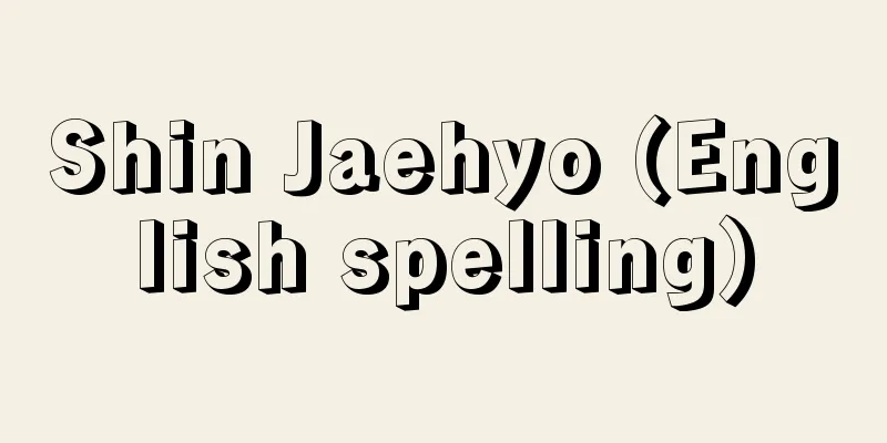 Shin Jaehyo (English spelling)