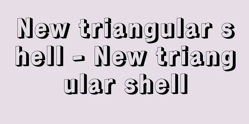 New triangular shell - New triangular shell