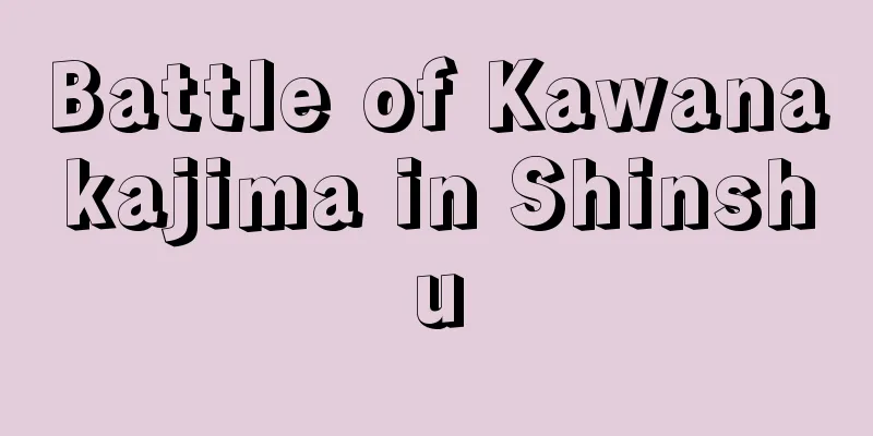 Battle of Kawanakajima in Shinshu