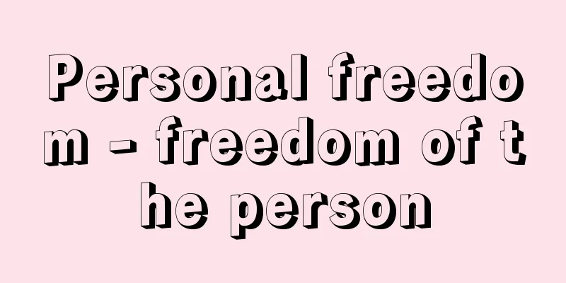 Personal freedom - freedom of the person