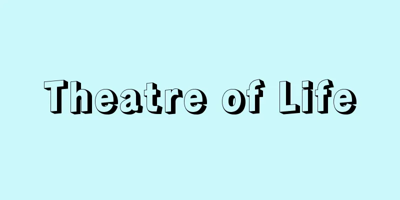 Theatre of Life