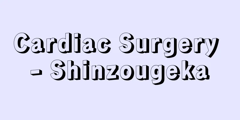 Cardiac Surgery - Shinzougeka