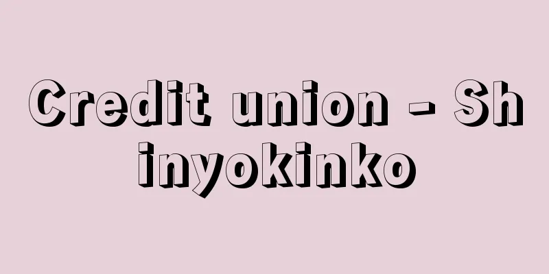 Credit union - Shinyokinko